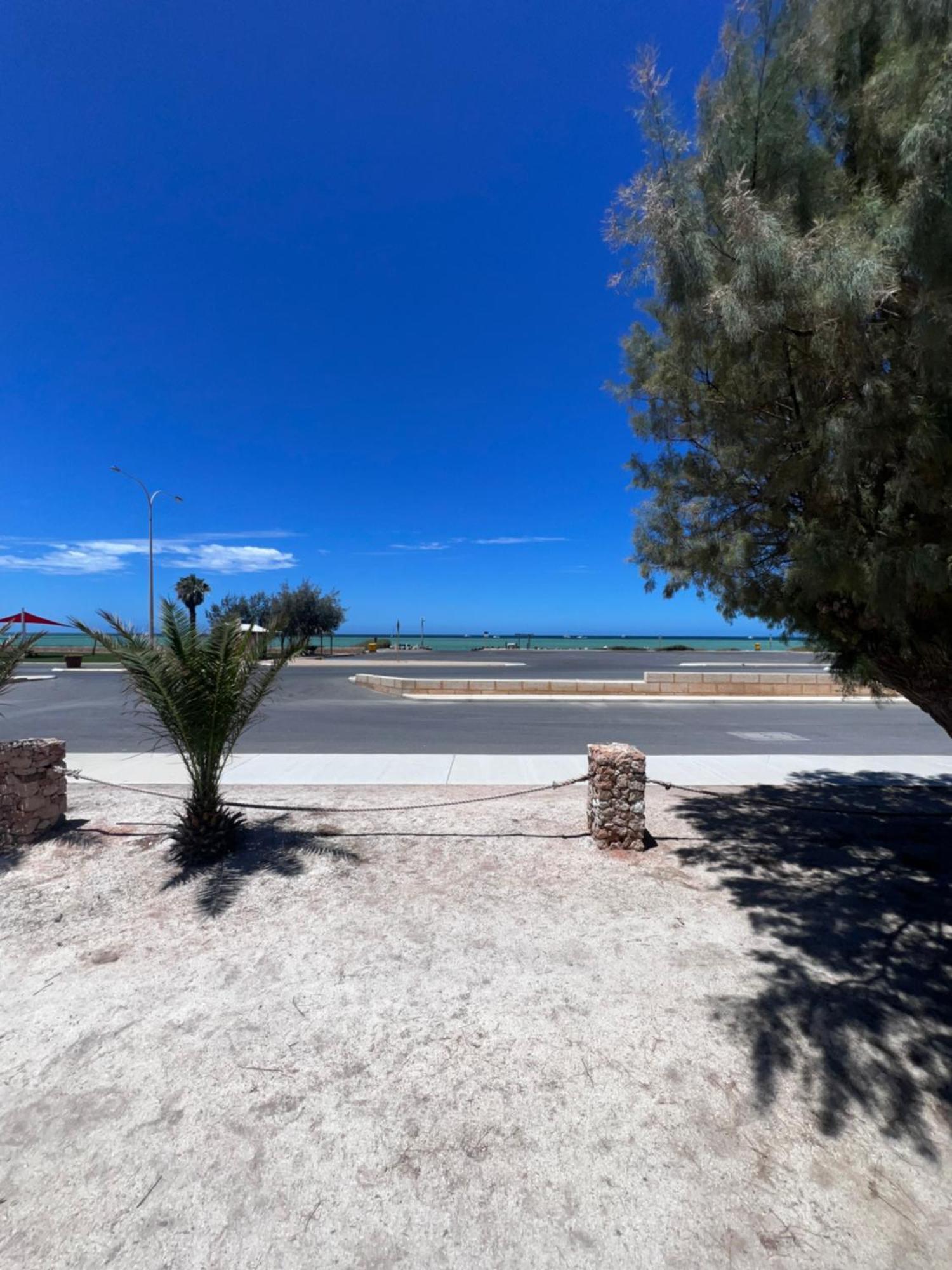 Shark Bay Cottages 덴험 외부 사진